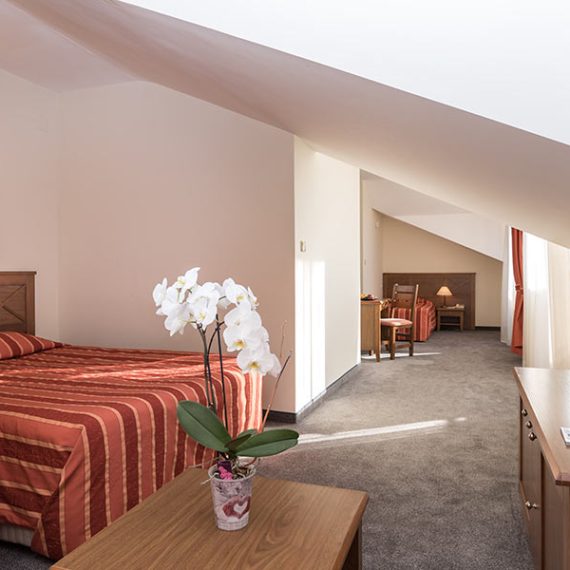 evelina-palace-bansko-room-3