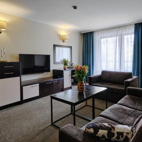 ivan_rilsky_apartment_lounge