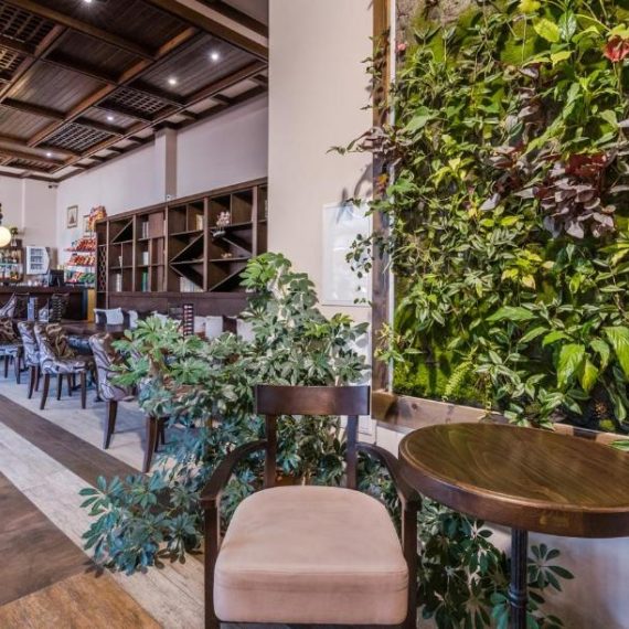 zara-hotel-bansko-restaurant-plants