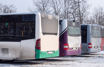 buses