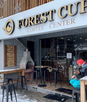 forest-cup-bansko