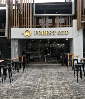 forest-cup-basnko2